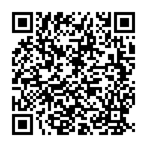 QR code for ZDP 383