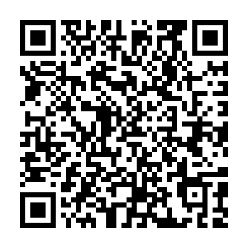 QR code for ZDP595