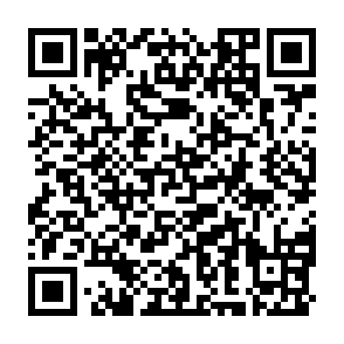 QR code for ZGN 381