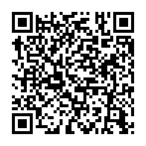 QR code for ZHG393