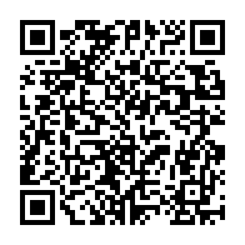 QR code for ZHY413