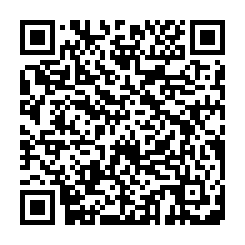 QR code for ZJD 384