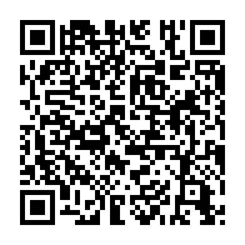 QR code for ZJP 333