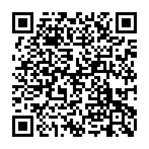 QR code for plate ZKF 595