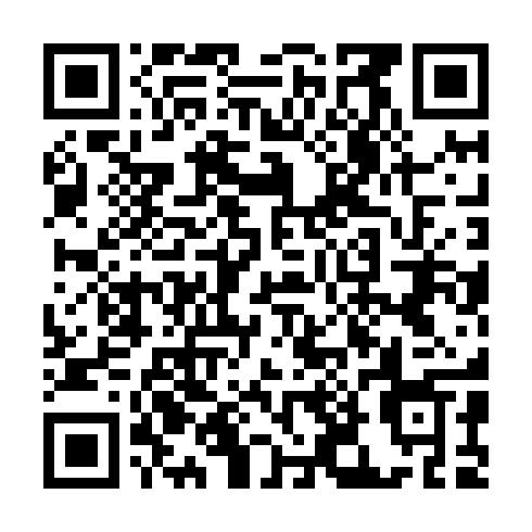 QR code for ZLH411