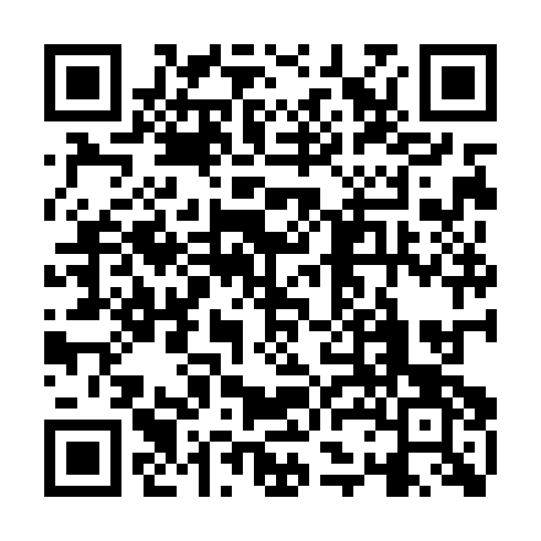 QR code for ZLN 413