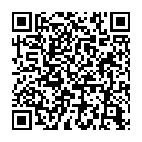 QR code for ZLQ 919