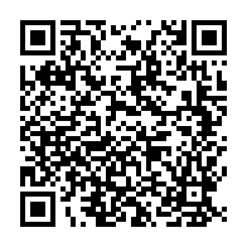 QR code for ZLT161