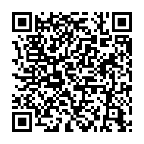 QR code for ZLU 493