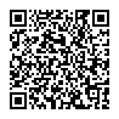 QR code for ZLX 611