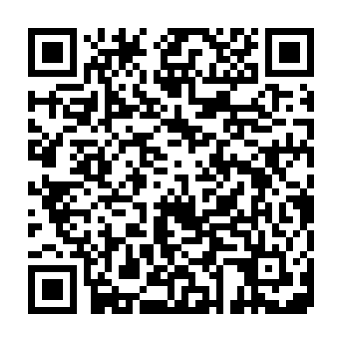 QR code for ZMI 041