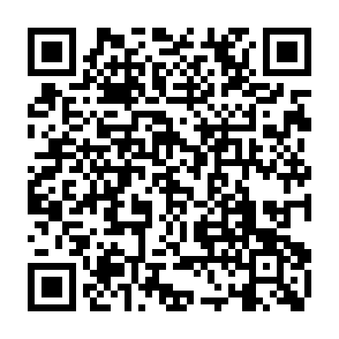 QR code for plate ZMN 333