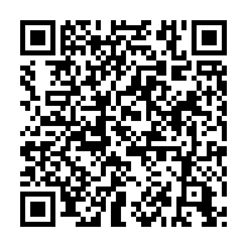 QR code for ZNT 991