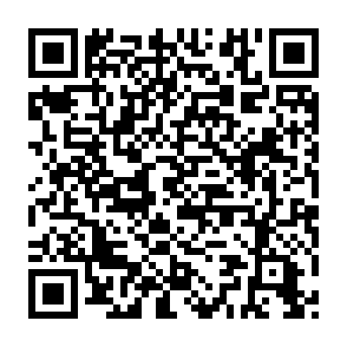 QR code for ZPL 917