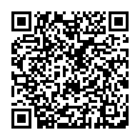 QR code for ZSG 533