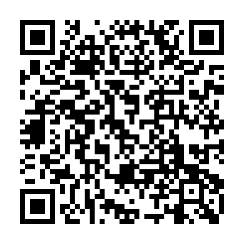 QR code for ZSN384