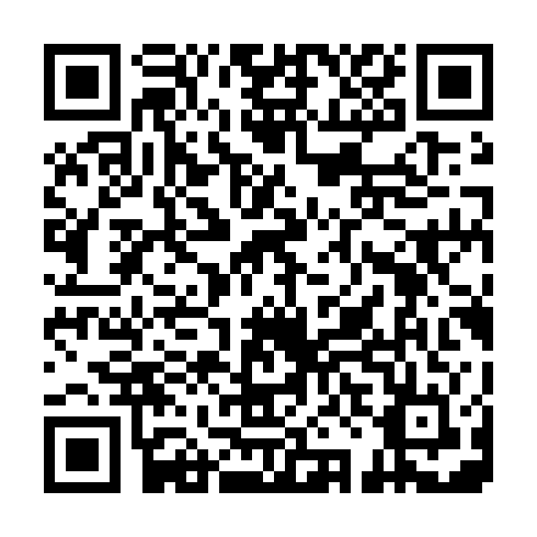 QR code for ZSU313