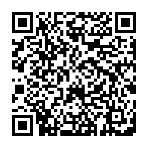 QR code for ZTB938