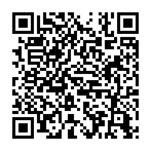 QR code for ZTE207