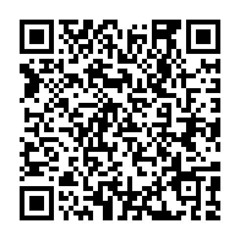 QR code for ZTF 295
