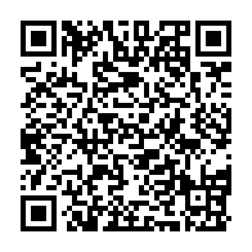 QR code for ZTL 595