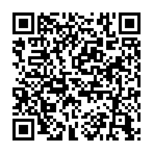 QR code for ZTN 991