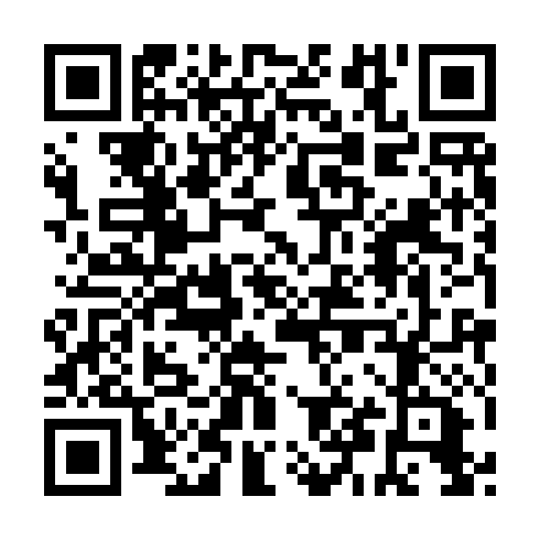 QR code for ZTQ 991