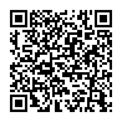 QR code for ZUE991