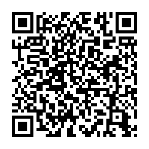 QR code for ZUL 919