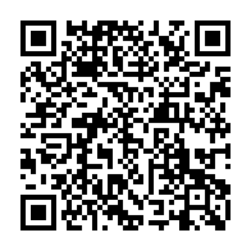 QR code for ZVG491