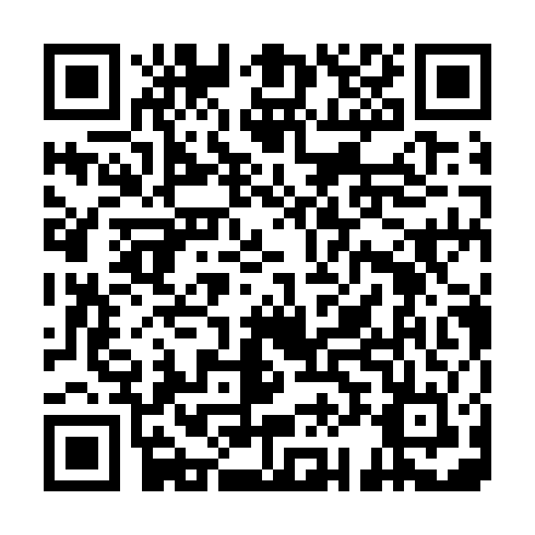 QR code for ZVS 041