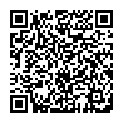 QR code for ZWM 953
