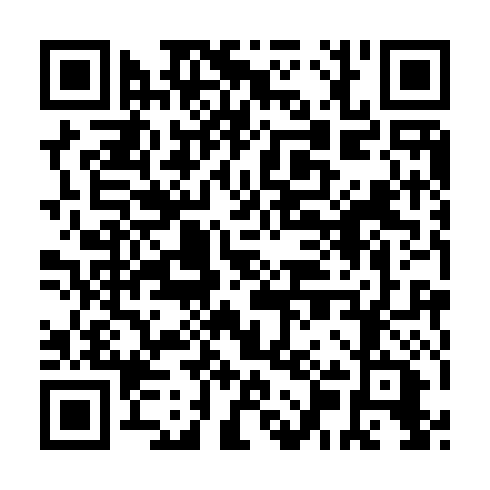 QR code for ZWT 493