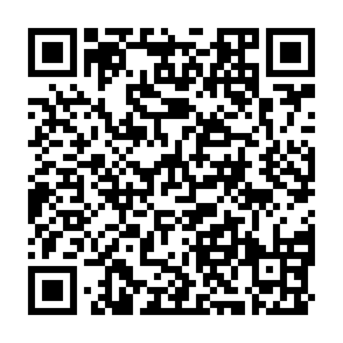 QR code for ZXH 381