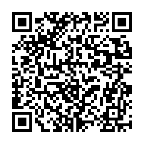 QR code for ZXL 313