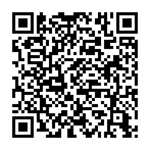 QR code for ZXL 917