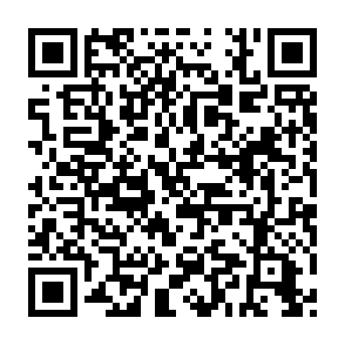 QR code for ZXN611