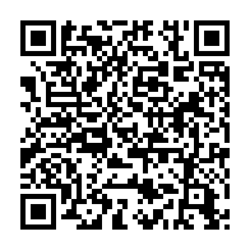 QR code for ZYB 597