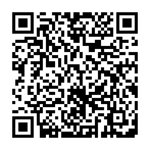 QR code for ZYC 313