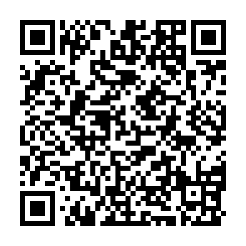 QR code for ZYD383