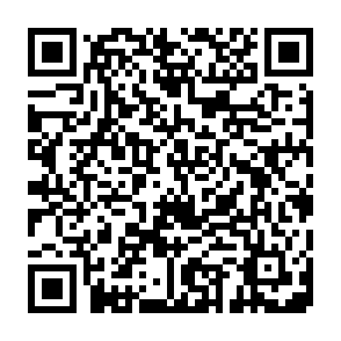 QR code for plate ZYE 029