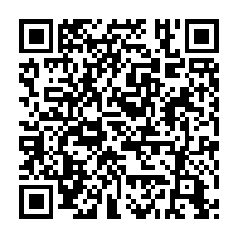 QR code for ZYK391