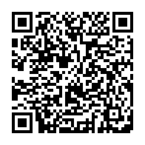 QR code for ZYL 399