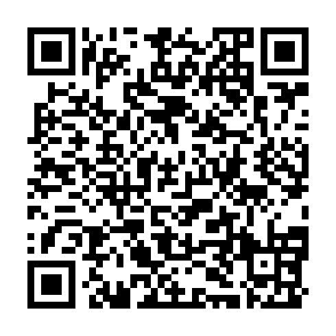 QR code for ZYL 931