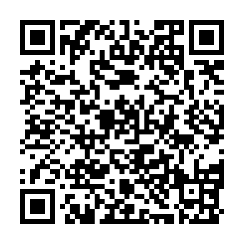 QR code for ZYN 494