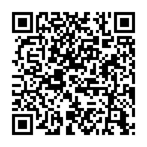 QR code for ZYS 031