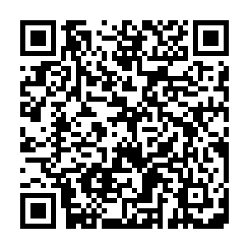 QR code for ZYT 594