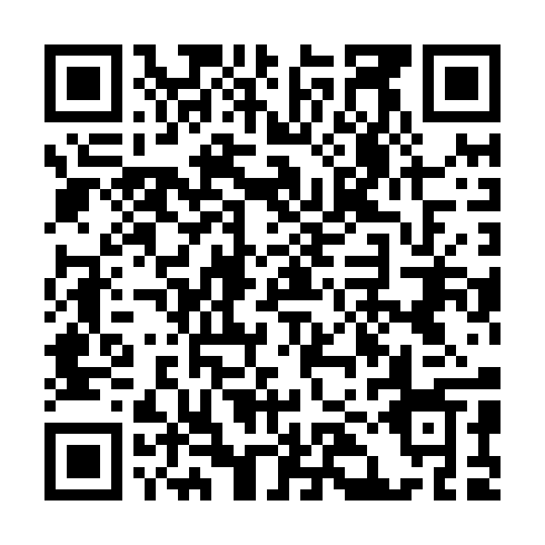 QR code for ZYU 095