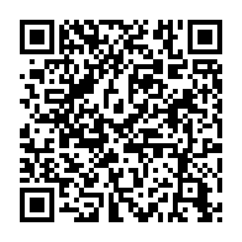 QR code for ZYZ941