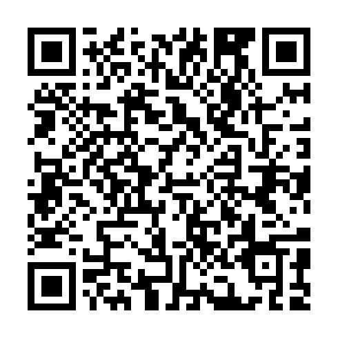 QR code for ZZD399